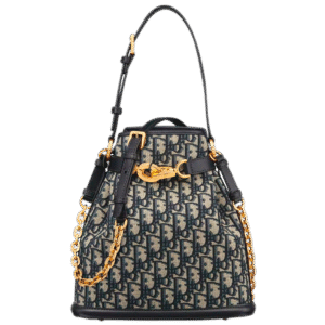 DIOR  Medium C’est Dior Bag