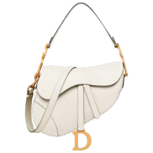 DIOR  Saddle Bag